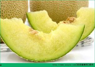 喂宝宝吃哈密瓜可以吗视频,营养美味两不误