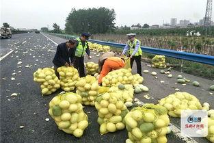 许昌吃瓜当事人视频最新,揭秘事件背后真相