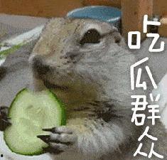 带你吃瓜奇怪动物视频