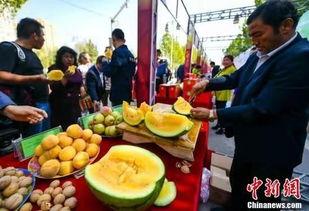 四川大学吃瓜视频最新更新,揭秘校园热点事件最新进展