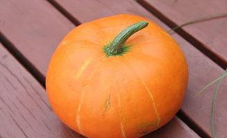 吃药吃瓜了的视频大全,趣味生活瞬间回顾