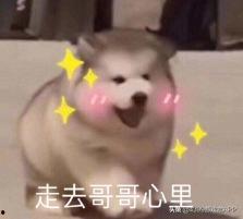 真实的三角恋吃瓜视频,一场真实吃瓜视频背后的情感漩涡