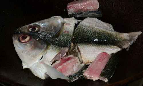 老鼠瓜配鱼头可以吃吗视频,营养互补的神奇搭配揭秘