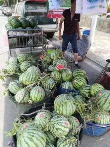 成都德阳吃瓜事件视频,一场引发热议的街头冲突瞬间