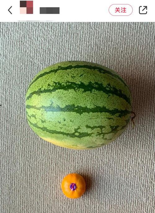 中国吃瓜外国人视频